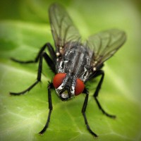 /album/elmileviri/photolia-a01-jpg/