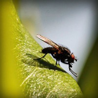 /album/elmileviri/photolia-a04-jpg/