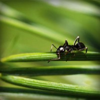 /album/elmileviri/photolia-a05-jpg/